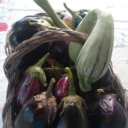 Agri Bertorella Кунео Екстериор снимка