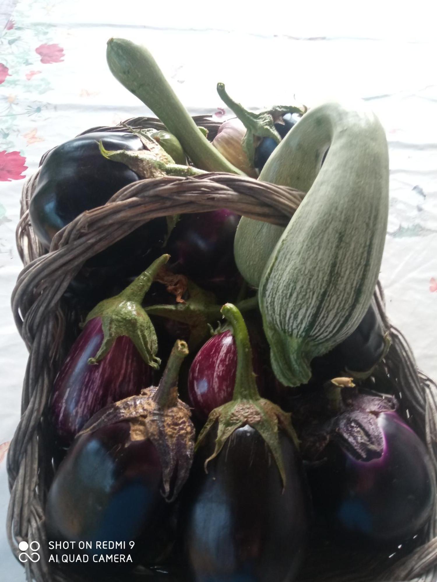 Agri Bertorella Кунео Екстериор снимка